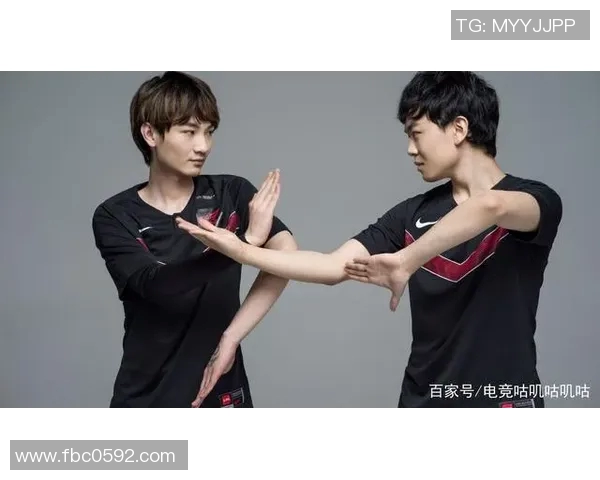 王者荣耀焦点FPX团队实力分析与未来发展展望